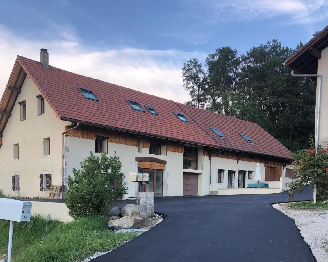 T2 Meuble De 40M2 Axe Annecy/Geneve Apartment Saint-Martin-Bellevue Exterior foto